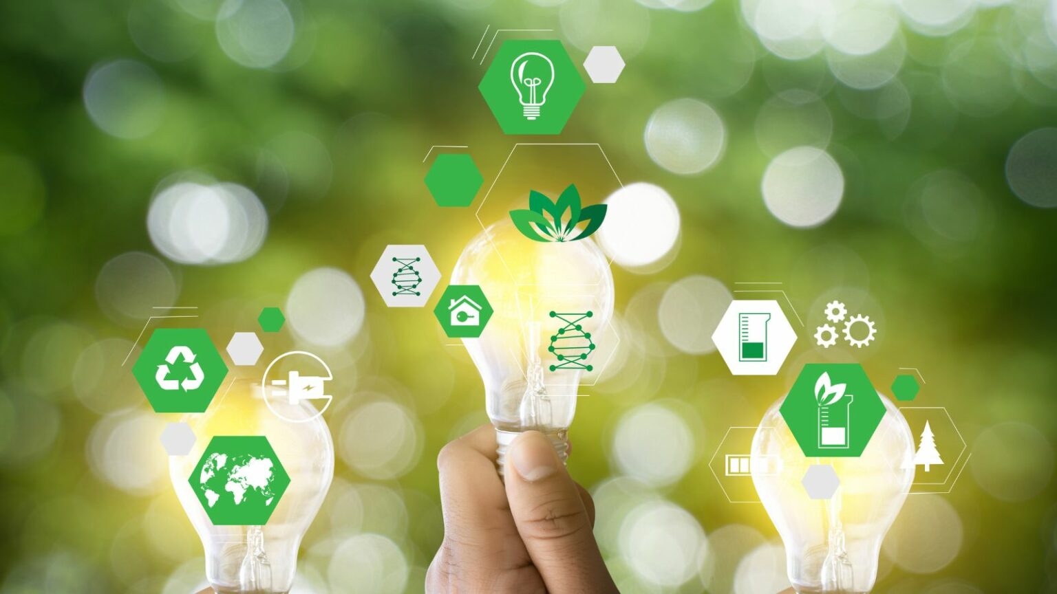 Embracing Sustainable Use: Key Practices for a Healthier Planet and ...